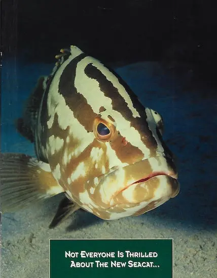 Sea Cat 1996 Brochure Package – Complete Set 1